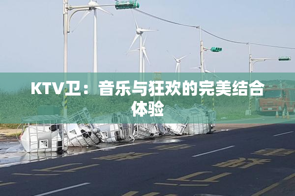 KTV卫：音乐与狂欢的完美结合体验