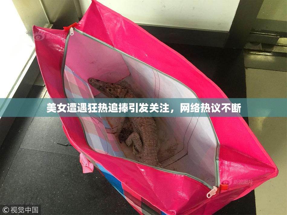 美女遭遇狂热追捧引发关注，网络热议不断