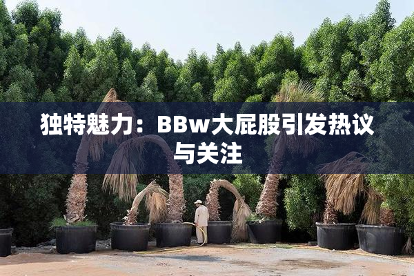 独特魅力：BBw大屁股引发热议与关注
