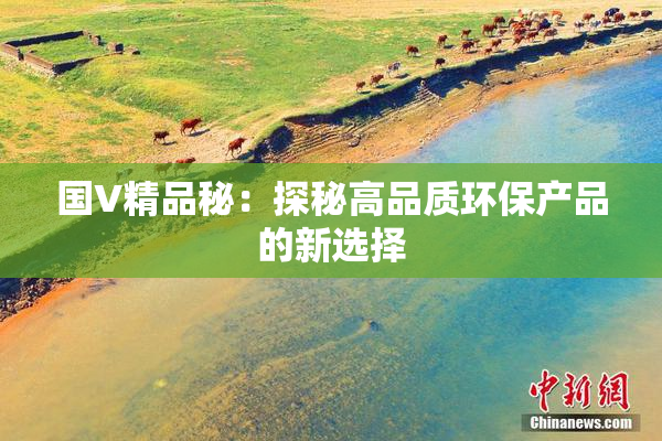 国V精品秘：探秘高品质环保产品的新选择