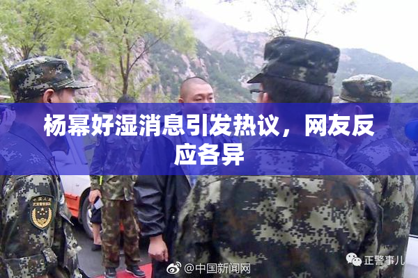 杨幂好湿消息引发热议，网友反应各异
