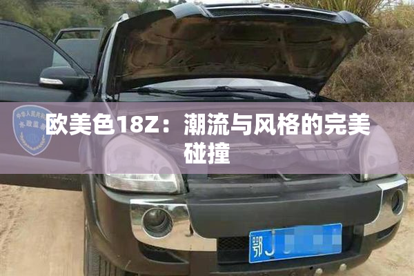 欧美色18Z：潮流与风格的完美碰撞