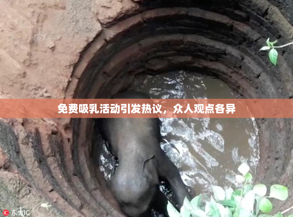 免费吸乳活动引发热议，众人观点各异