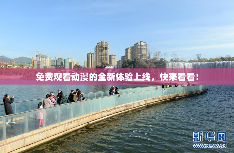 免费观看动漫的全新体验上线，快来看看！