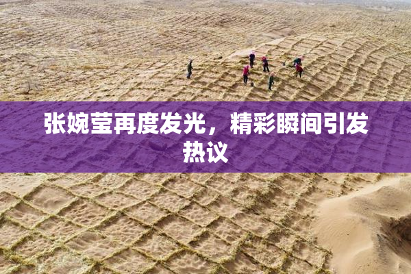 张婉莹再度发光，精彩瞬间引发热议