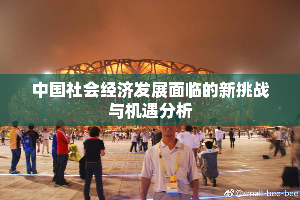 中国社会经济发展面临的新挑战与机遇分析