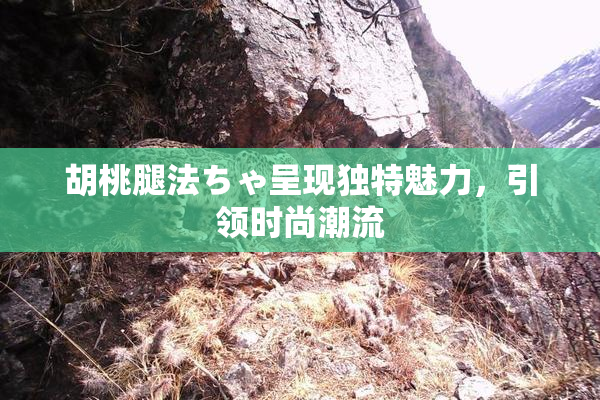 胡桃腿法ちゃ呈现独特魅力，引领时尚潮流