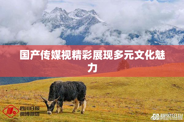 国产传媒视精彩展现多元文化魅力