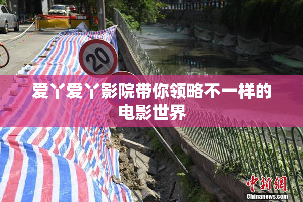 爱丫爱丫影院带你领略不一样的电影世界