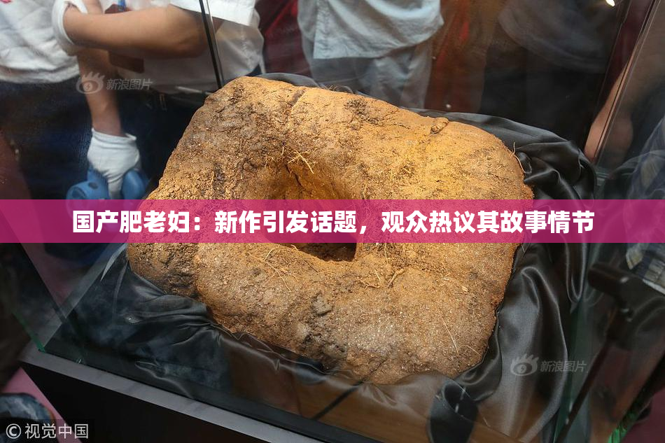 国产肥老妇：新作引发话题，观众热议其故事情节