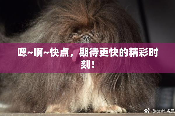 嗯~啊~快点，期待更快的精彩时刻！