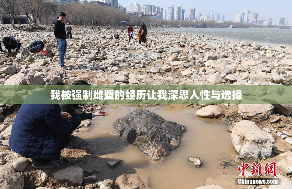 我被强制雌堕的经历让我深思人性与选择