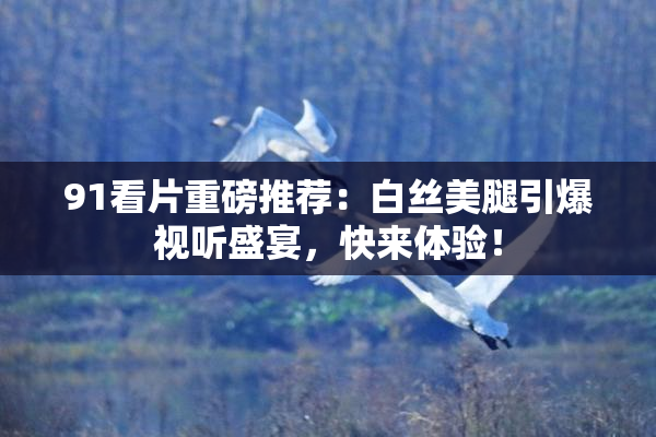 91看片重磅推荐：白丝美腿引爆视听盛宴，快来体验！