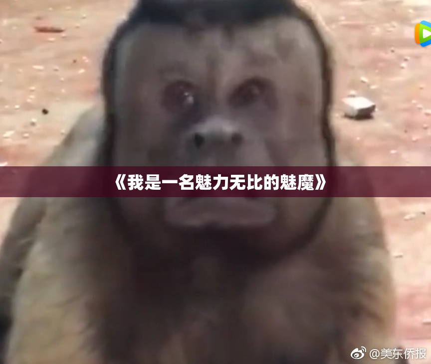 《我是一名魅力无比的魅魔》