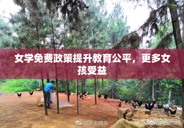女学免费政策提升教育公平，更多女孩受益