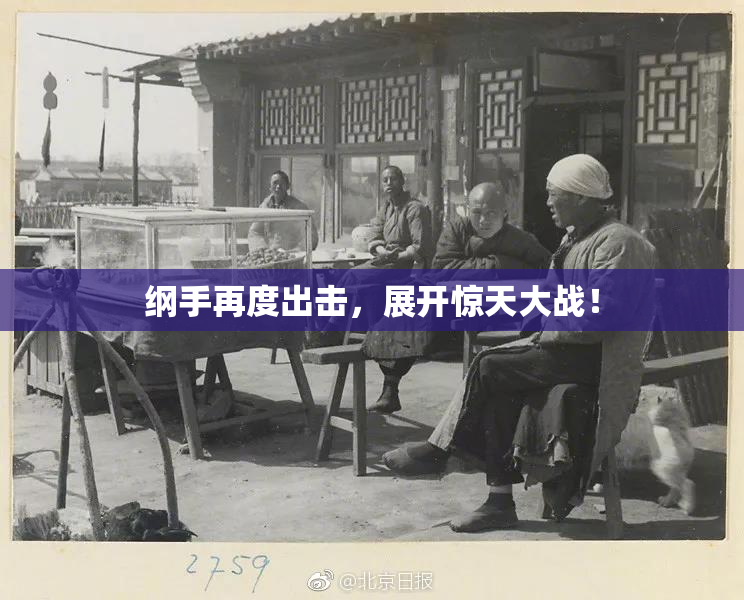 纲手再度出击，展开惊天大战！