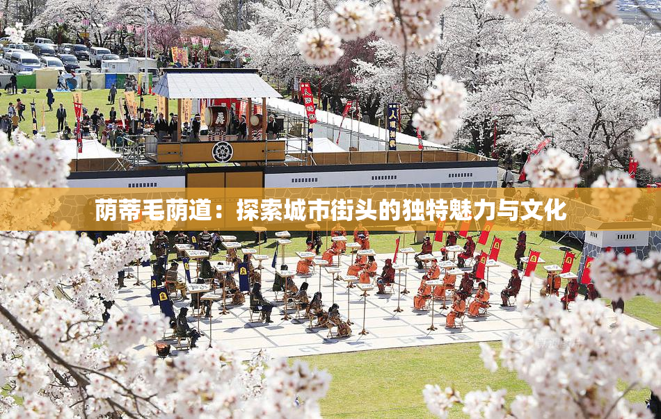 荫蒂毛荫道：探索城市街头的独特魅力与文化
