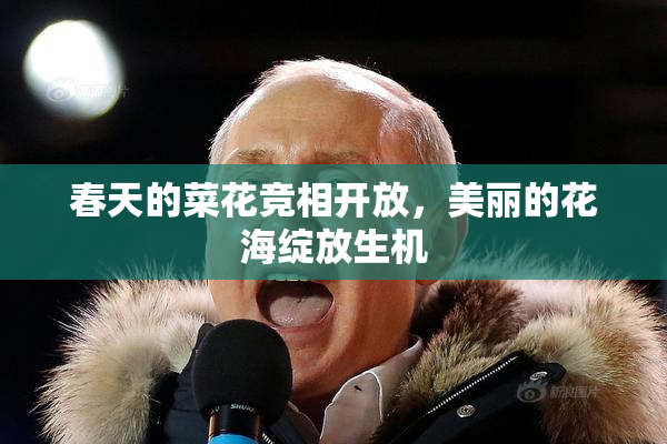 春天的菜花竞相开放，美丽的花海绽放生机