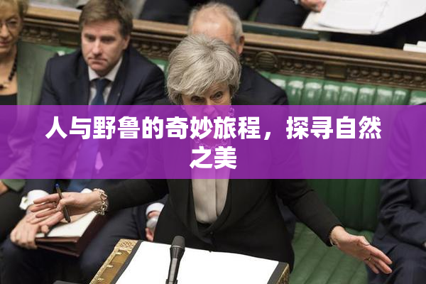 人与野鲁的奇妙旅程，探寻自然之美