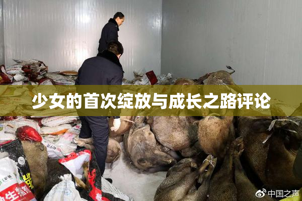 少女的首次绽放与成长之路评论