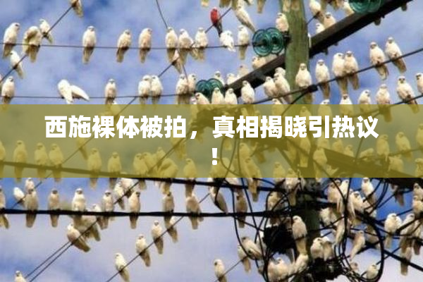 西施裸体被拍，真相揭晓引热议！