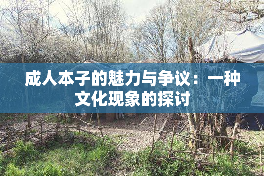 成人本子的魅力与争议：一种文化现象的探讨