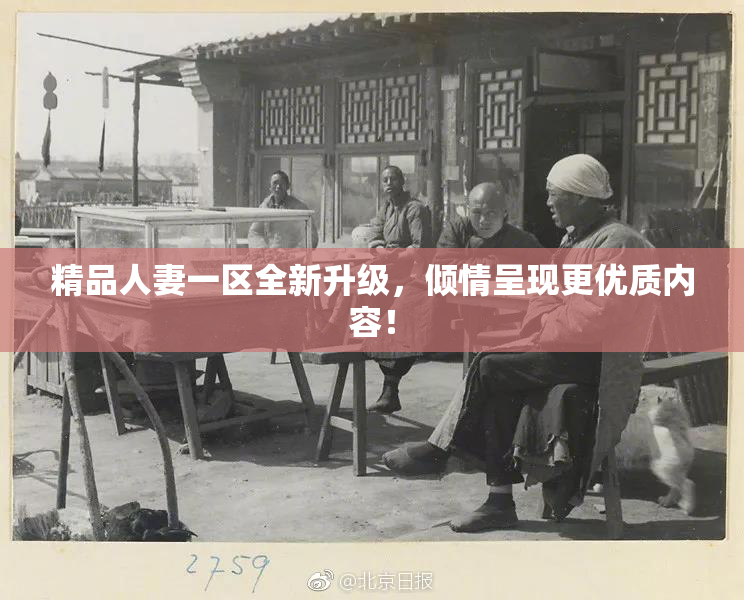 精品人妻一区全新升级，倾情呈现更优质内容！