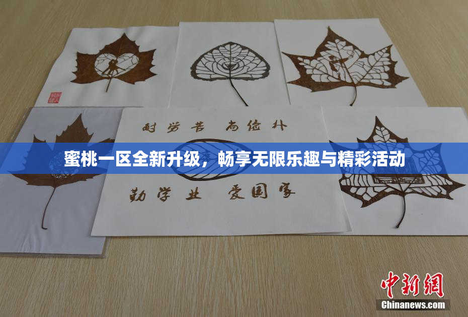 蜜桃一区全新升级，畅享无限乐趣与精彩活动