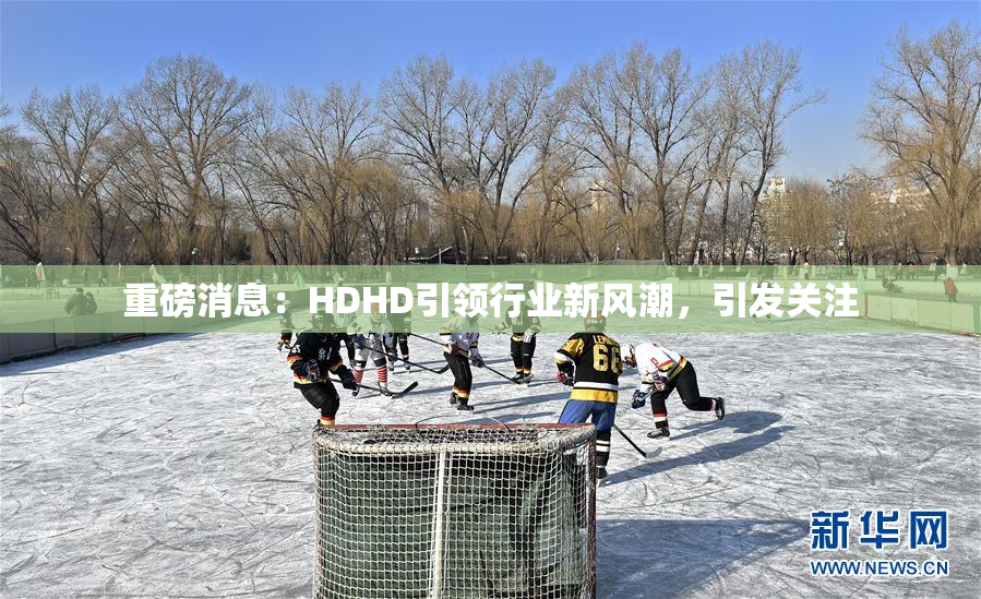 重磅消息：HDHD引领行业新风潮，引发关注