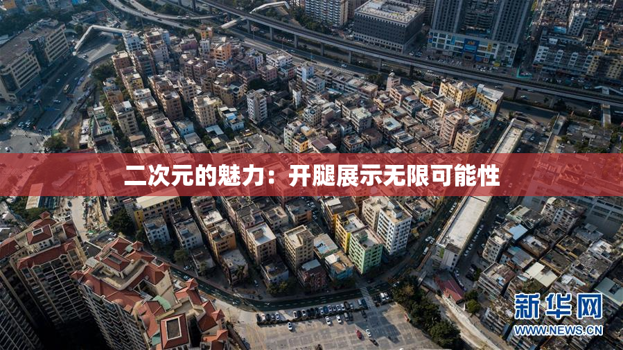 二次元的魅力：开腿展示无限可能性