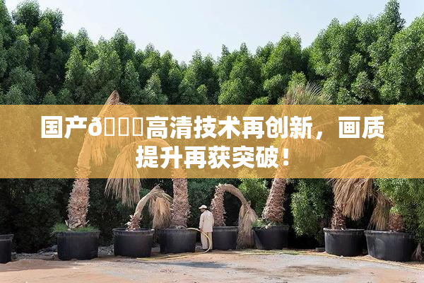 国产🍑高清技术再创新，画质提升再获突破！