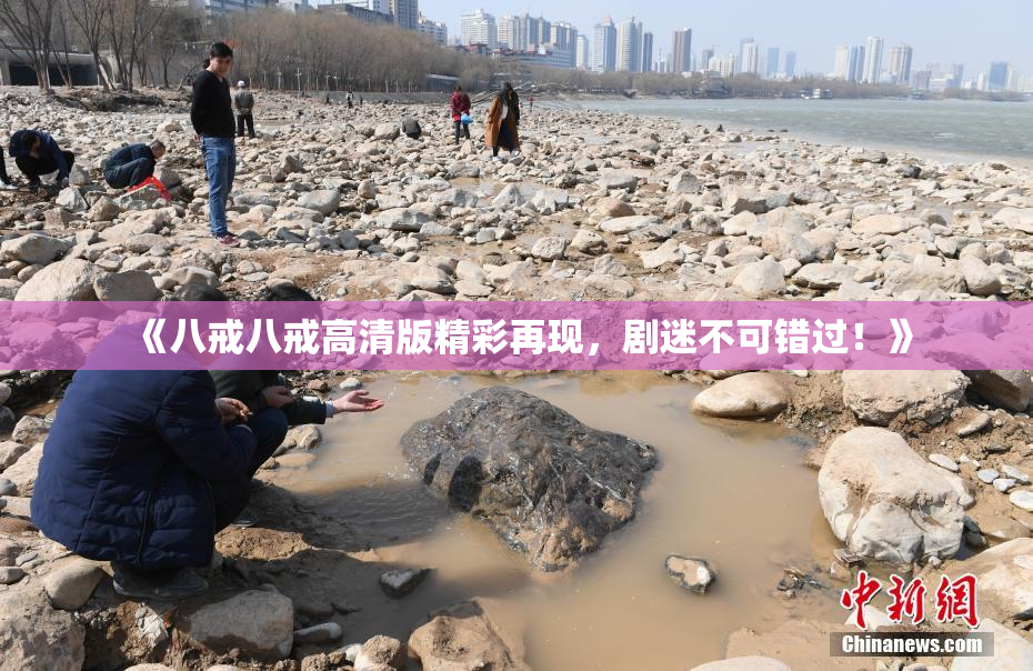 《八戒八戒高清版精彩再现，剧迷不可错过！》