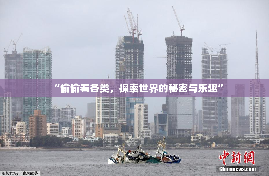 “偷偷看各类，探索世界的秘密与乐趣”
