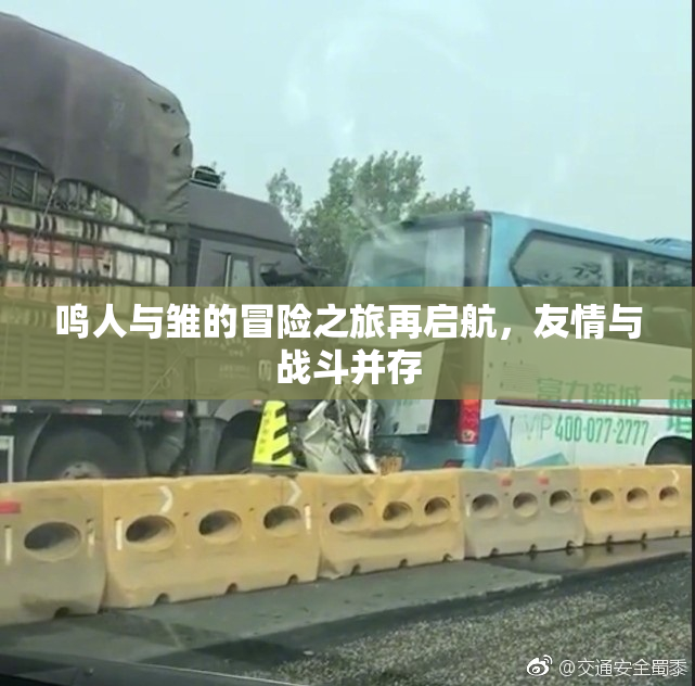 鸣人与雏的冒险之旅再启航，友情与战斗并存