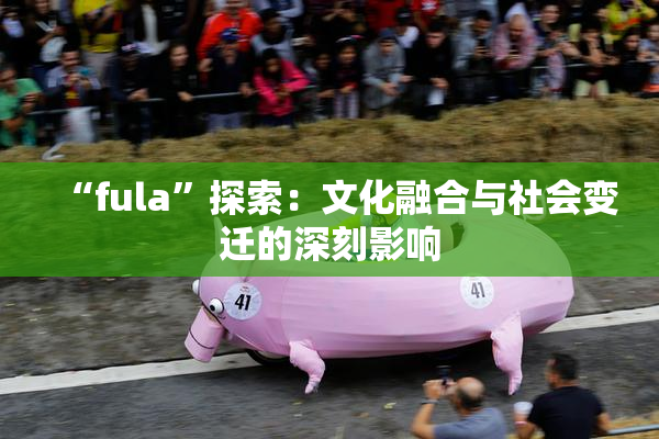 “fula”探索：文化融合与社会变迁的深刻影响