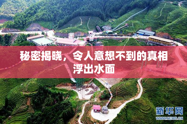 秘密揭晓，令人意想不到的真相浮出水面