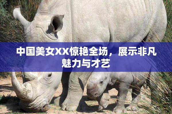 中国美女XX惊艳全场，展示非凡魅力与才艺