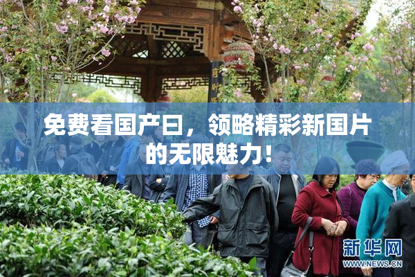 免费看国产曰，领略精彩新国片的无限魅力！