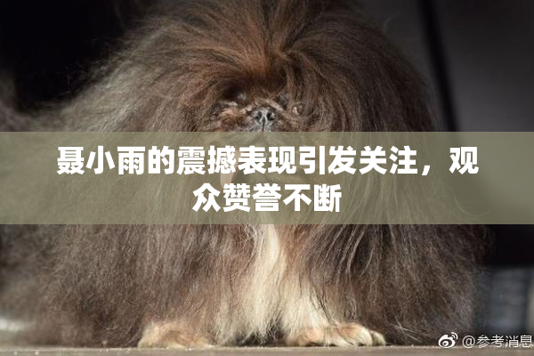 聂小雨的震撼表现引发关注，观众赞誉不断