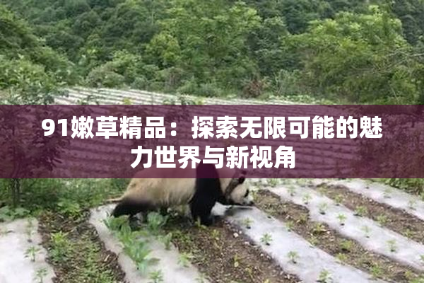 91嫩草精品：探索无限可能的魅力世界与新视角