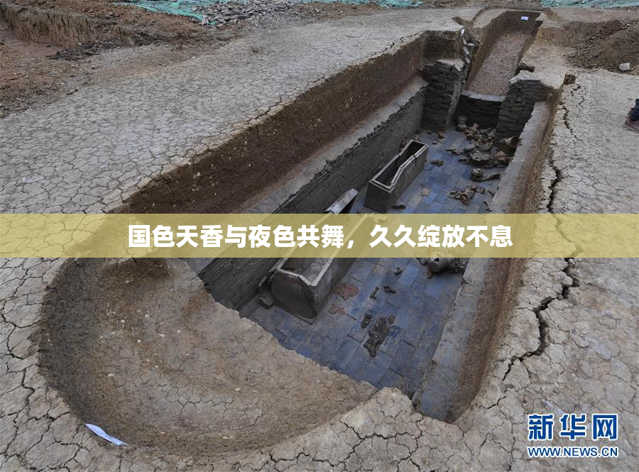 国色天香与夜色共舞，久久绽放不息