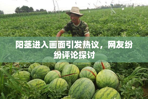 阳茎进入画面引发热议，网友纷纷评论探讨
