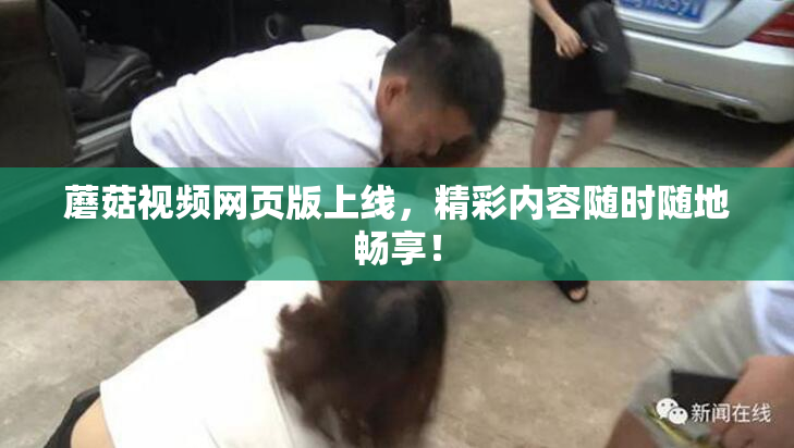 蘑菇视频网页版上线，精彩内容随时随地畅享！
