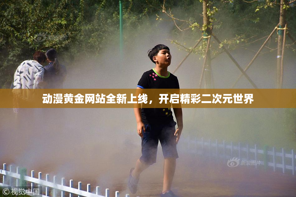 动漫黄金网站全新上线，开启精彩二次元世界