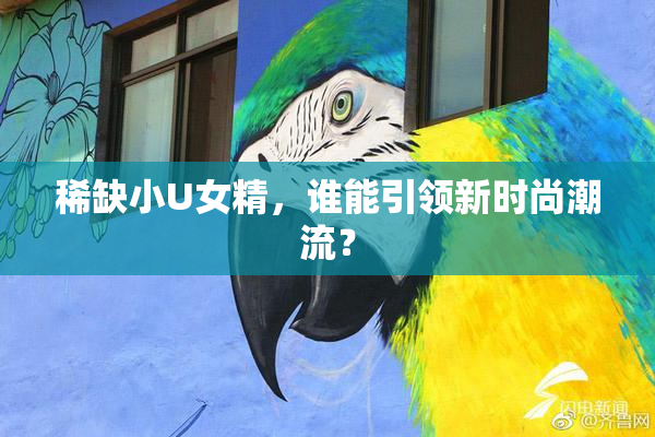 稀缺小U女精，谁能引领新时尚潮流？