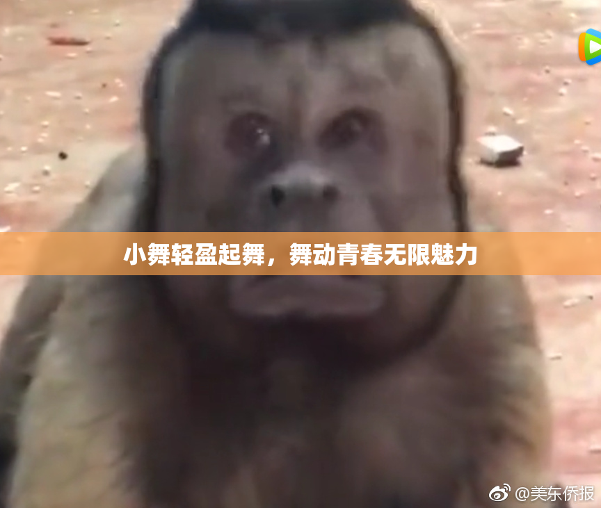小舞轻盈起舞，舞动青春无限魅力