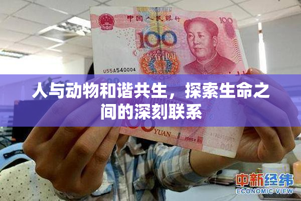 人与动物和谐共生，探索生命之间的深刻联系