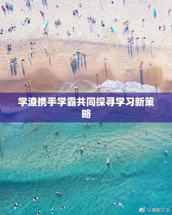 学渣携手学霸共同探寻学习新策略