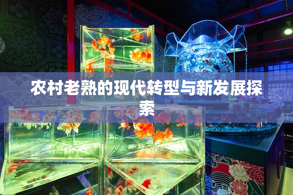 农村老熟的现代转型与新发展探索