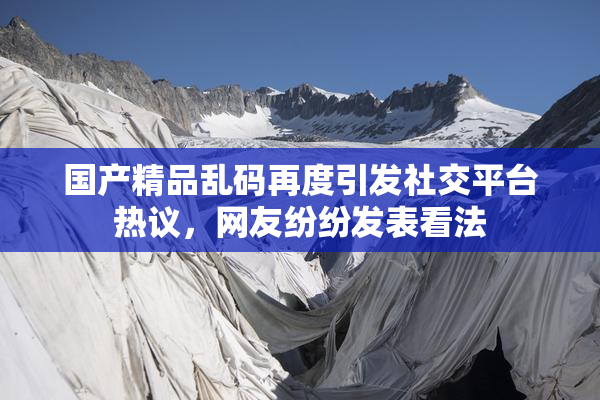 国产精品乱码再度引发社交平台热议，网友纷纷发表看法